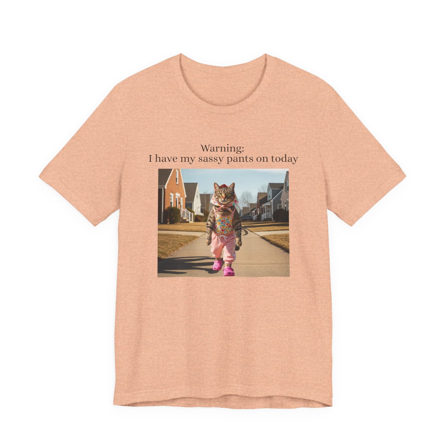 Babushka Cat Sassy Pants Tee Graphic T-Shirt