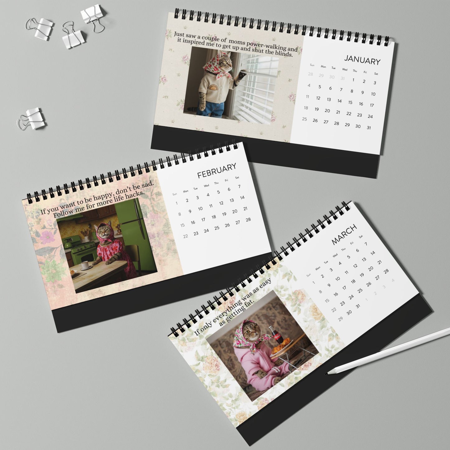 Babushka Cat Desktop Calendar (2026) Best of Memes Version