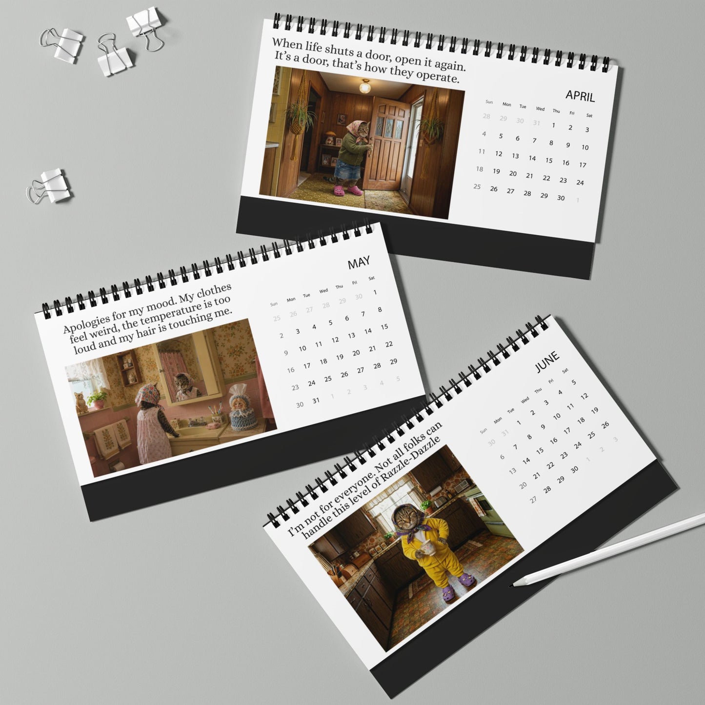 Babushka Cat 2027 Desktop Calendar