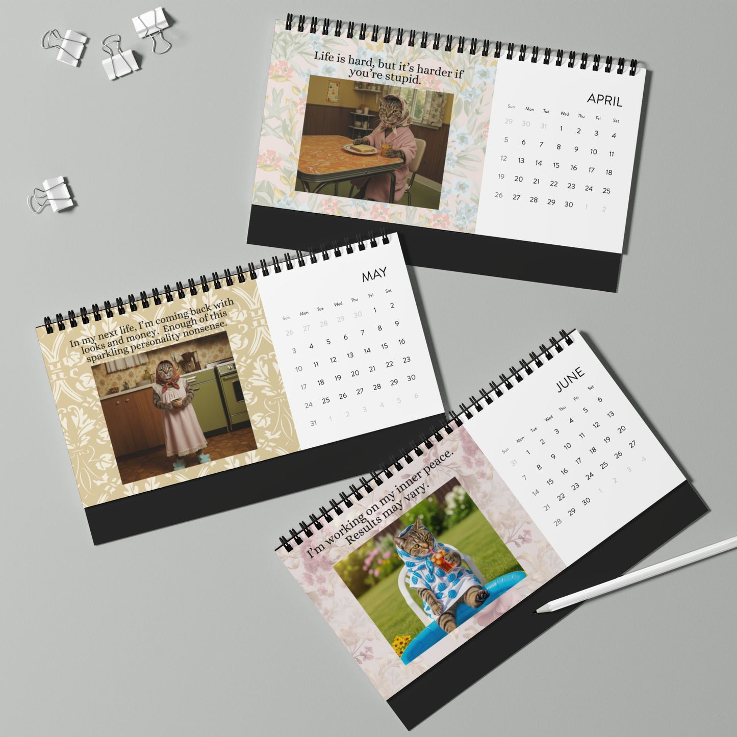 Babushka Cat Desktop Calendar (2026) Best of Memes Version