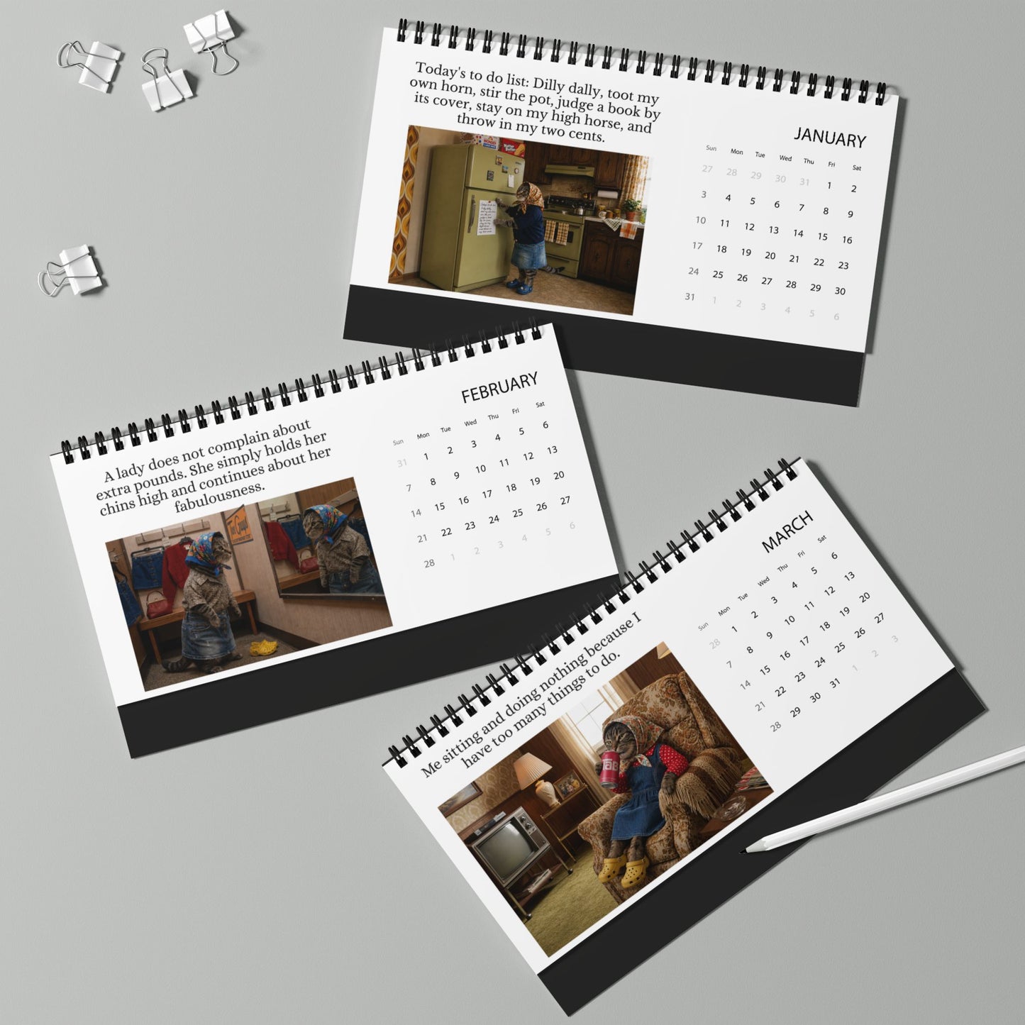Babushka Cat 2027 Desktop Calendar