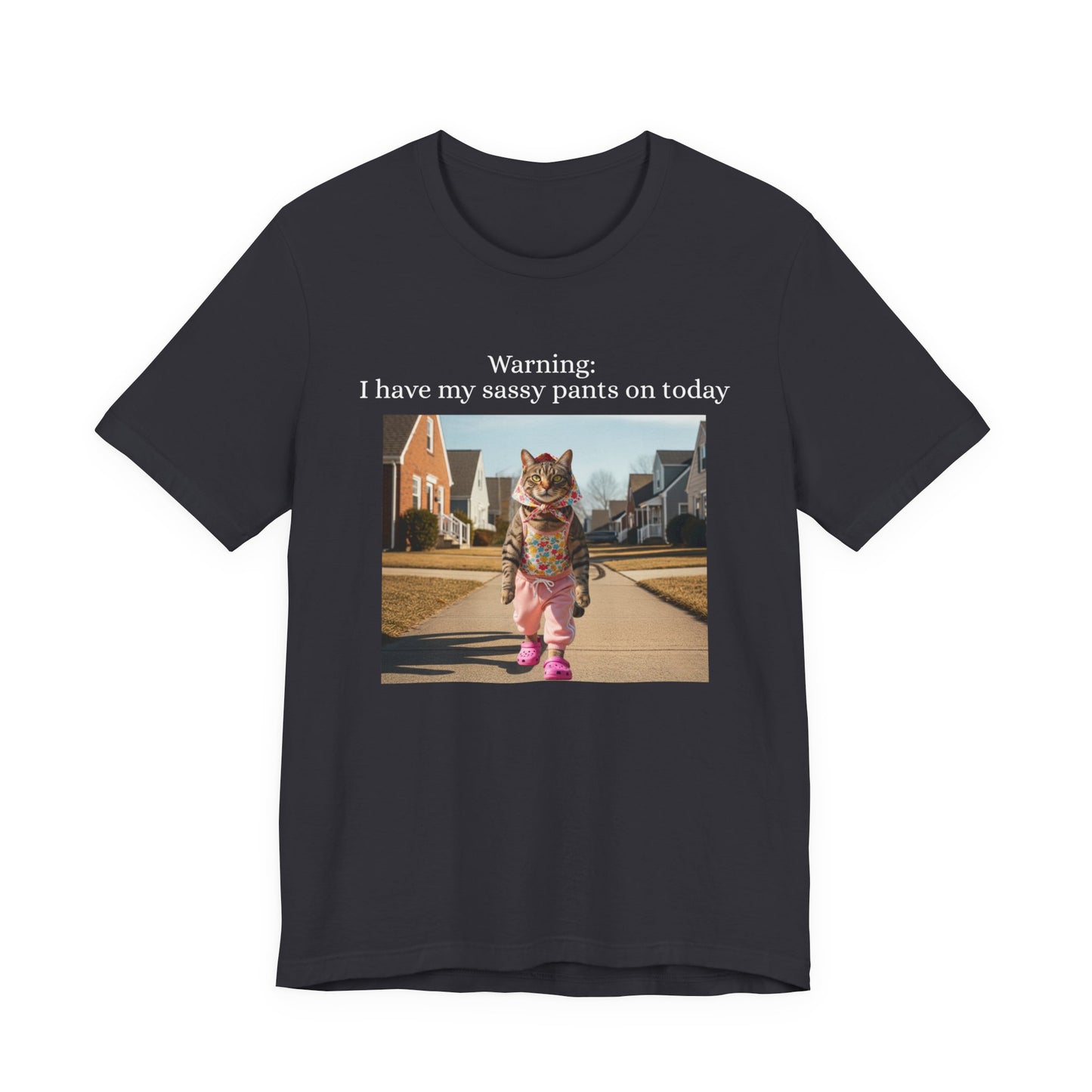 Babushka Cat Sassy Pants Tee Graphic T-Shirt