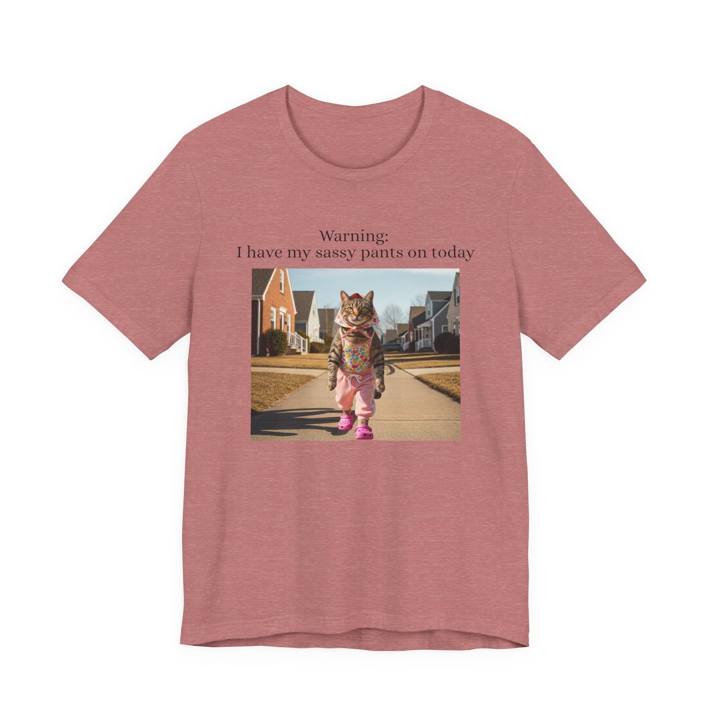 Babushka Cat Sassy Pants Tee Graphic T-Shirt